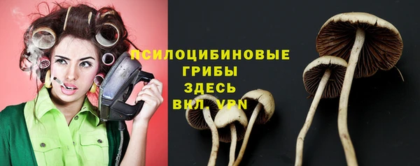 соль ск Алексин