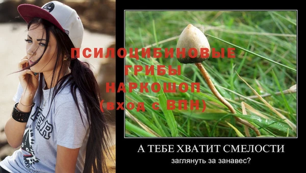 круглые Алексеевка