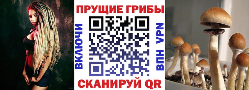Псилоцибиновые грибы ЛСД  что такое наркотик  Любим 